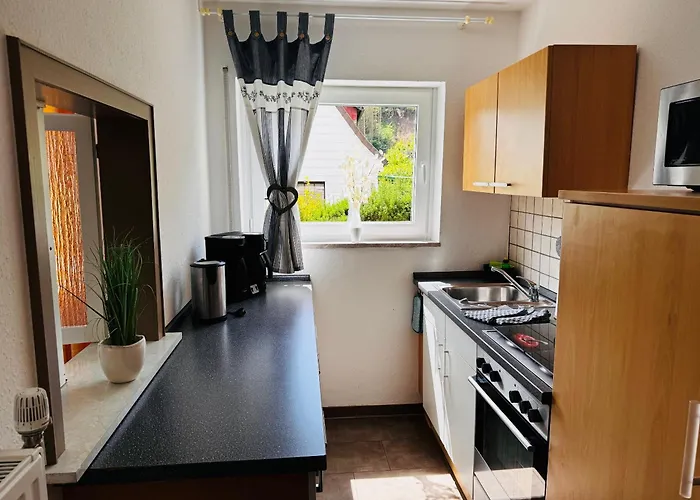 Dom wakacyjny Haus Panoramablick *